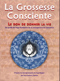 Grossesse Consciente - Le Don de donner la vie livre